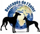 Logo de l'association Rescapés de l'enfer - Argentan